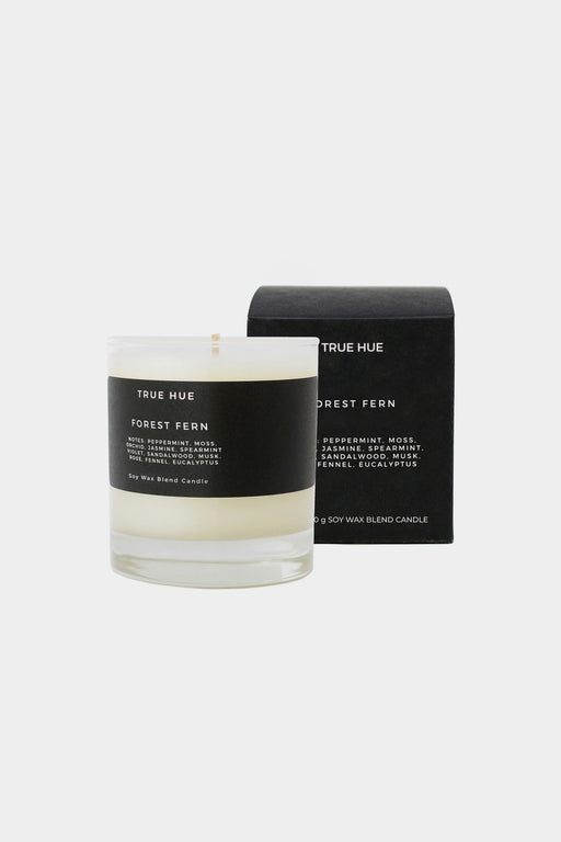 True Hue | Forest Fern Candle | Hazel & Rose | Minneapolis